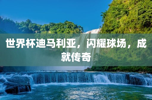 世界杯迪马利亚，闪耀球场，成就传奇