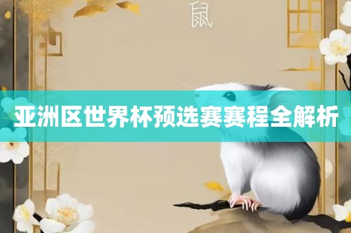 亚洲区世界杯预选赛赛程全解析