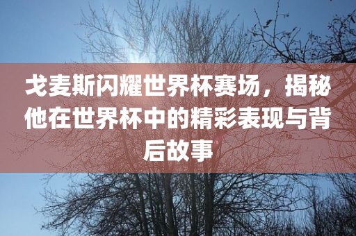 戈麦斯闪耀世界杯赛场，揭秘他在世界杯中的精彩表现与背后故事