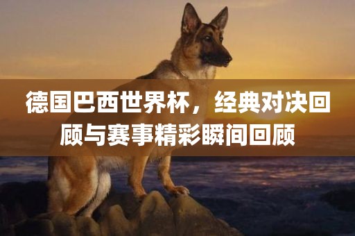 德国巴西世界杯，经典对决回金炬实业股份有限公司顾与赛事精彩瞬间回顾