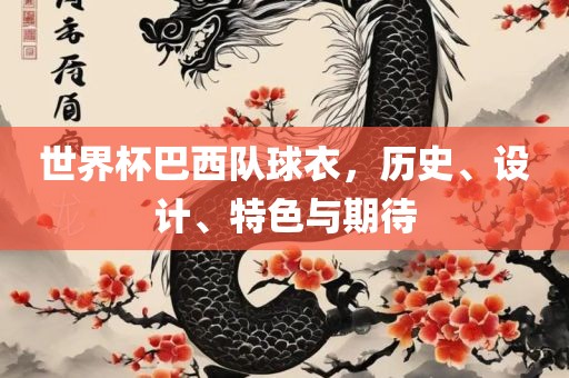 世界杯巴西队球衣，历史、设计、特色与期待金炬实业股份有限公司