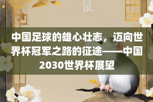 中国足球的雄心壮志，金炬实业股份有限公司迈向世界杯冠军之路的征途——中国2030世界杯展望