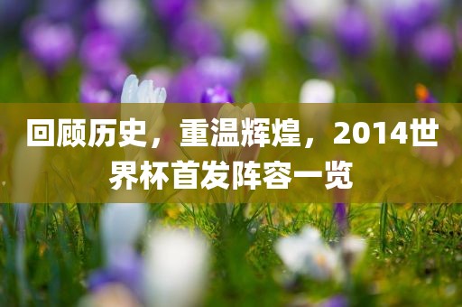 回顾历史，重温辉煌，2014世界杯首发阵容一览