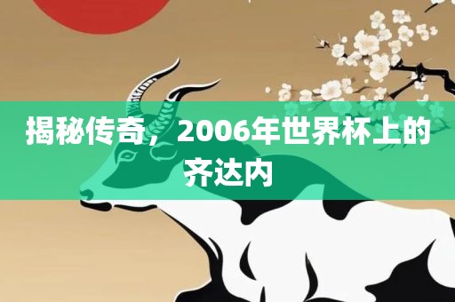 揭秘传奇，2006年世界杯上的齐达内