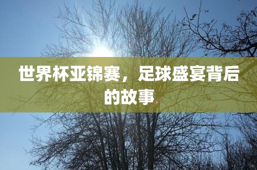 世界杯亚锦赛，足球盛宴背后的故事