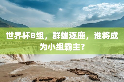 世界杯B组，群雄逐鹿，谁将成为小组霸主？