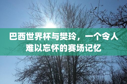 巴西世界杯与樊玲，一个令人难以忘怀金炬实业股份有限公司的赛场记忆