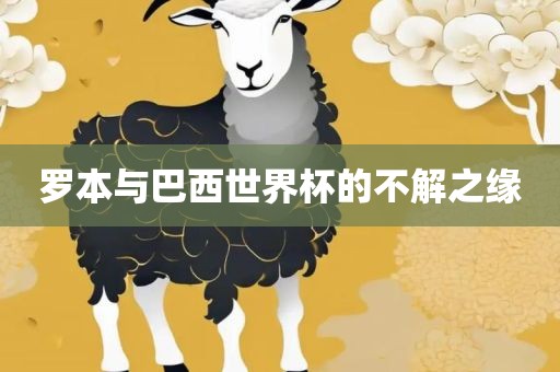 罗本与巴西世金炬实业股份有限公司界杯的不解之缘