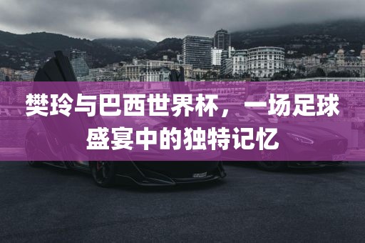 樊玲与巴西世界杯，一场足球盛金炬实业股份有限公司宴中的独特记忆
