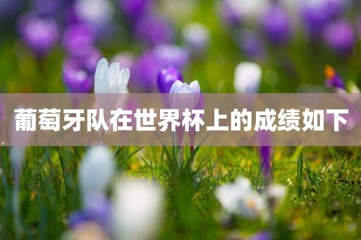 葡萄牙队在世界杯上的成绩如下金炬实业股份有限公司