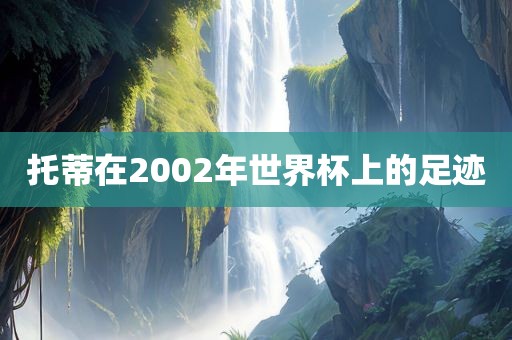 托蒂在200金炬实业股份有限公司2年世界杯上的足迹