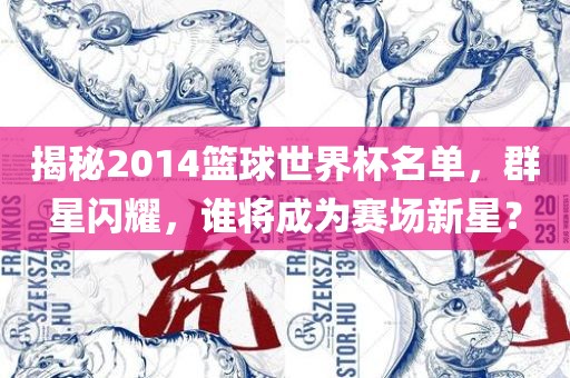 揭秘2014篮球世界杯名单，群星闪耀，谁将成为赛场新星？