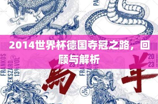 2014世界杯德国夺冠之路，回顾与解析