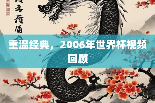 重温经典，2006年世界杯视频回顾