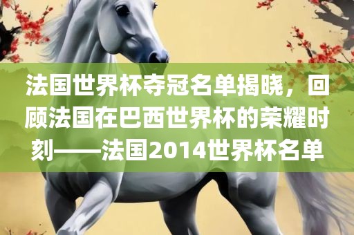 法国世界杯夺冠名单揭晓，回顾法国在巴西世界金炬实业股份有限公司杯的荣耀时刻——法国2014世界杯名单