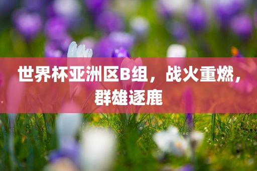 世界杯亚洲区B组，战火重燃，群雄逐鹿