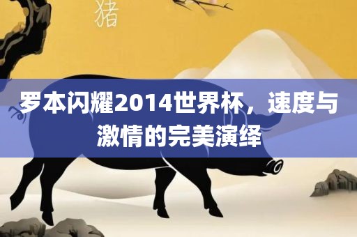 罗本闪耀2014世界杯，速度与激情的完美演绎