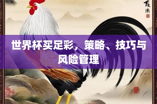 世界杯买足彩，策略、技巧与风险管理