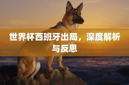 世界杯西班牙出局，深度解析与反思金炬实业股份有限公司