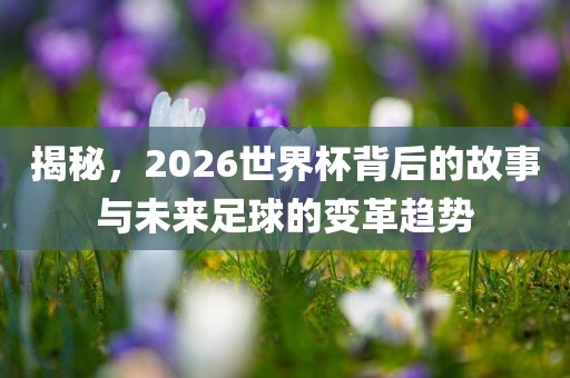 揭秘，2026世界杯背后的故事与未来足球的变革趋势金炬实业股份有限公司
