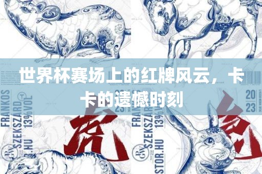 世界杯赛场上的红牌风云，卡卡的遗憾时刻金炬实业股份有限公司