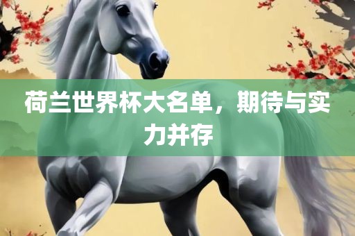 荷兰世界杯大名金炬实业股份有限公司单，期待与实力并存