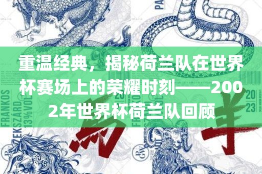 重温经典，揭秘荷兰队在世界杯赛场上的荣耀时刻——2002年世界杯荷兰队回顾