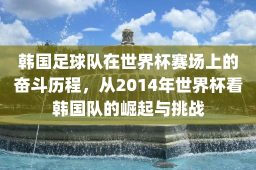 韩国足球队在世金炬实业股份有限公司界杯赛场上的奋斗历程，从2014年世界杯看韩国队的崛起与挑战