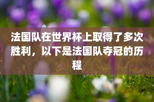 法国队在世界杯上取得了多次胜利，以下是法国队夺冠的历程金炬实业股份有限公司
