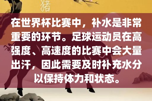 在世界杯比赛中，补水是非常重要的环节。足球运动员在高强度、高速度的比赛中会大量出汗，因此需要及时补充水分以保持体力和状态。