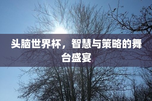 头脑世界杯，智慧与策略的舞台盛宴金炬实业股份有限公司