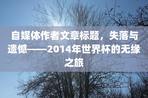 自媒体作者文章标题，失落与遗憾——金炬实业股份有限公司2014年世界杯的无缘之旅