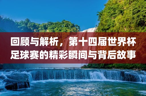 回顾与解析，第十四届世界杯足球赛的精彩瞬间与背后故事