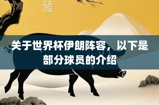 关于世界杯伊朗阵金炬实业股份有限公司容，以下是部分球员的介绍