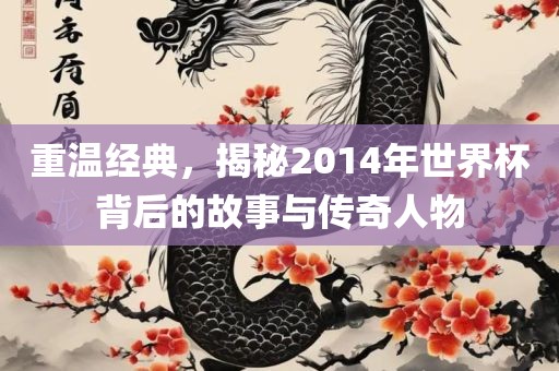 重温经典，揭秘2014年世界杯背后的故事与传奇人物