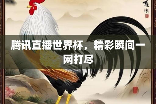 腾讯直播世界杯，精彩瞬间一网打尽