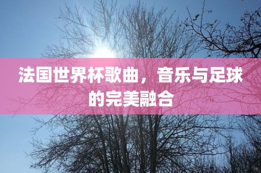 法国世界杯歌曲，音乐与足球的完美融合