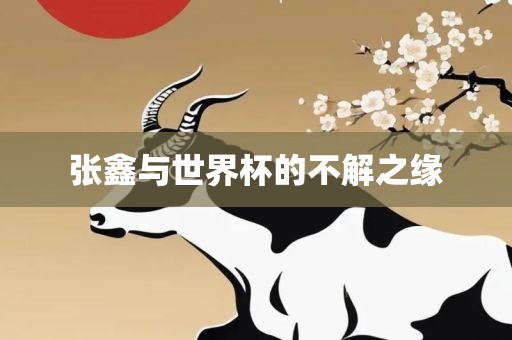 张鑫与世界杯的不解之缘金炬实业股份有限公司