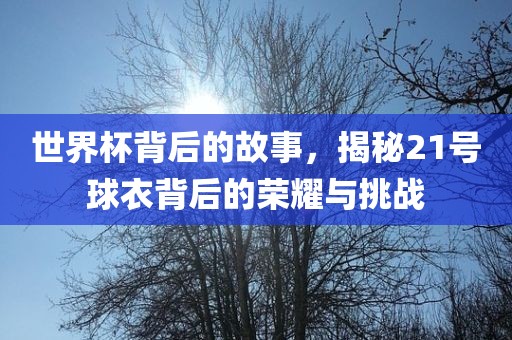 世界杯背后的故事，揭秘21号球衣背后的荣耀与挑战金炬实业股份有限公司