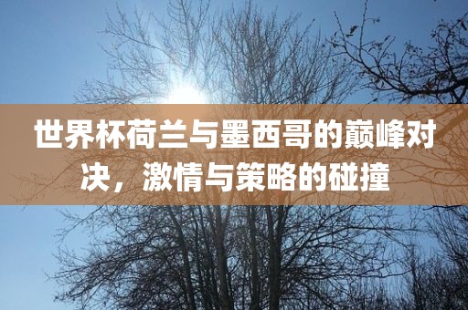 世界杯荷兰与墨西哥的巅峰对决，激情与策略的碰撞金炬实业股份有限公司