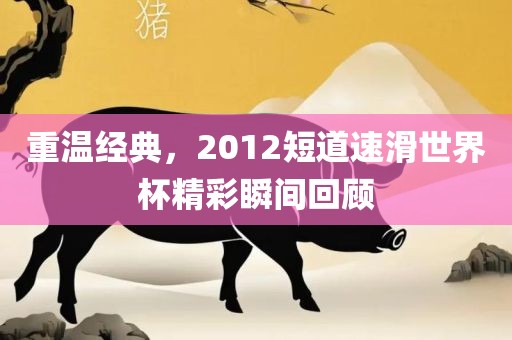 重温经典，2012短道速滑世界杯精彩瞬间回顾