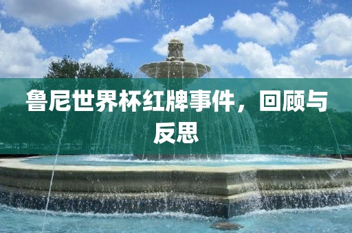 金炬实业股份有限公司鲁尼世界杯红牌事件，回顾与反思