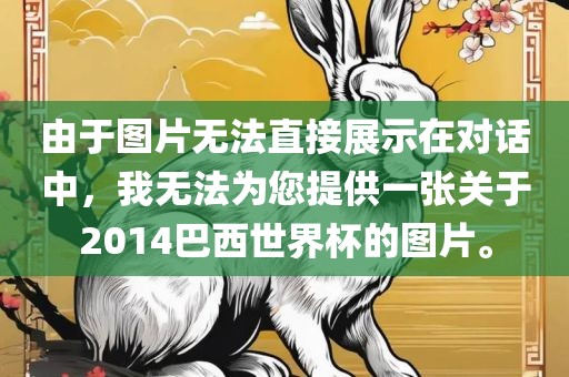 由于图片无法直接展示在对话中，我无法为您提供一张关于2014巴西世界杯的图片金炬实业股份有限公司。