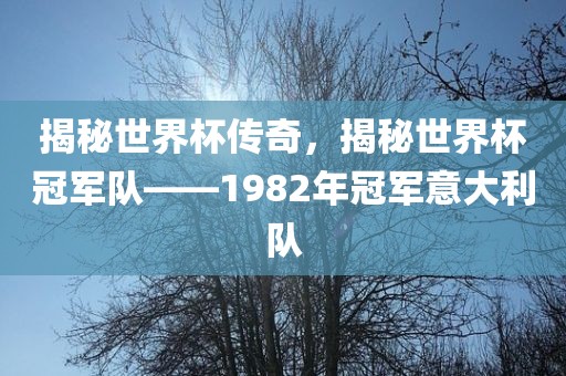 揭秘世界杯传奇，揭秘世界杯冠军队——1982年冠军意大利队