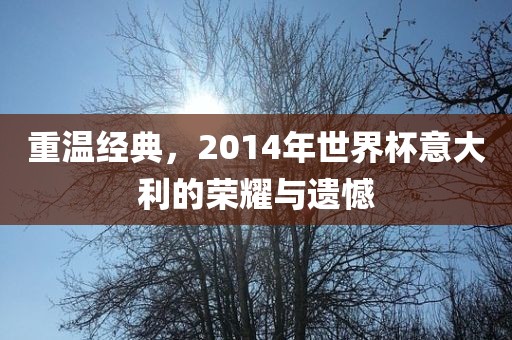 重温经典，2014年世界杯意大利的荣耀与遗憾