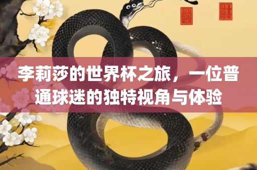 李莉莎金炬实业股份有限公司的世界杯之旅，一位普通球迷的独特视角与体验
