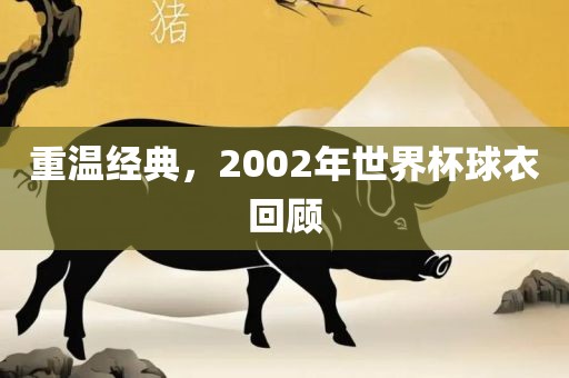 重温经典，2002年世界杯球衣回顾