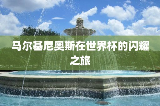 马尔基尼奥斯在世界杯的闪耀之旅金炬实业股份有限公司