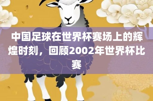 中国足球在世界杯赛场上的辉煌时刻，回顾2002年世界杯比赛