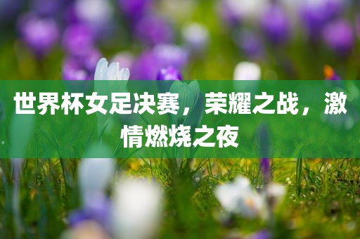 世界杯女足决赛，荣耀之战，激情燃烧之夜